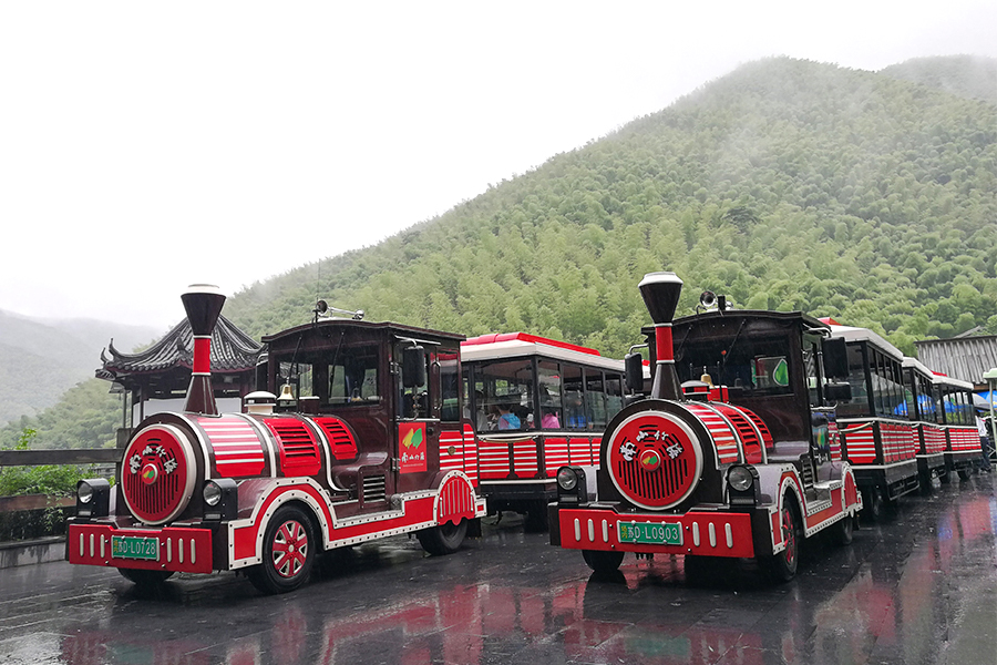 20座封閉式經(jīng)典大型無軌觀光列車